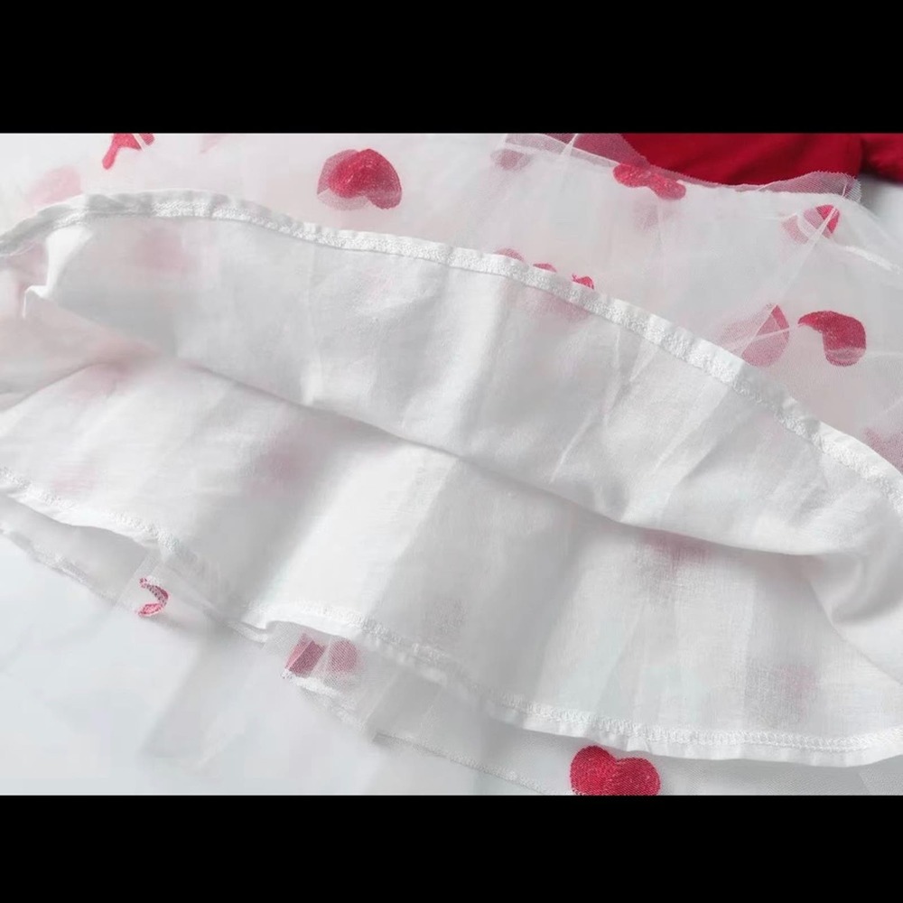 Valentine Love Ruffle Dress with Embroidered heart tutu 5/6 - Picture 3 of 3